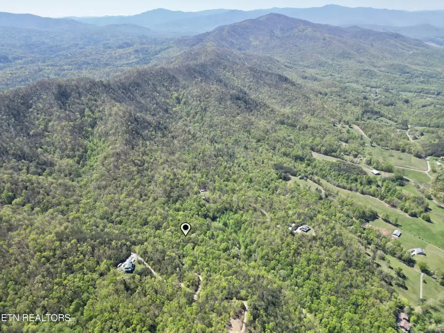 981 Critter Valley Way, Newport, TN 37821 - #2