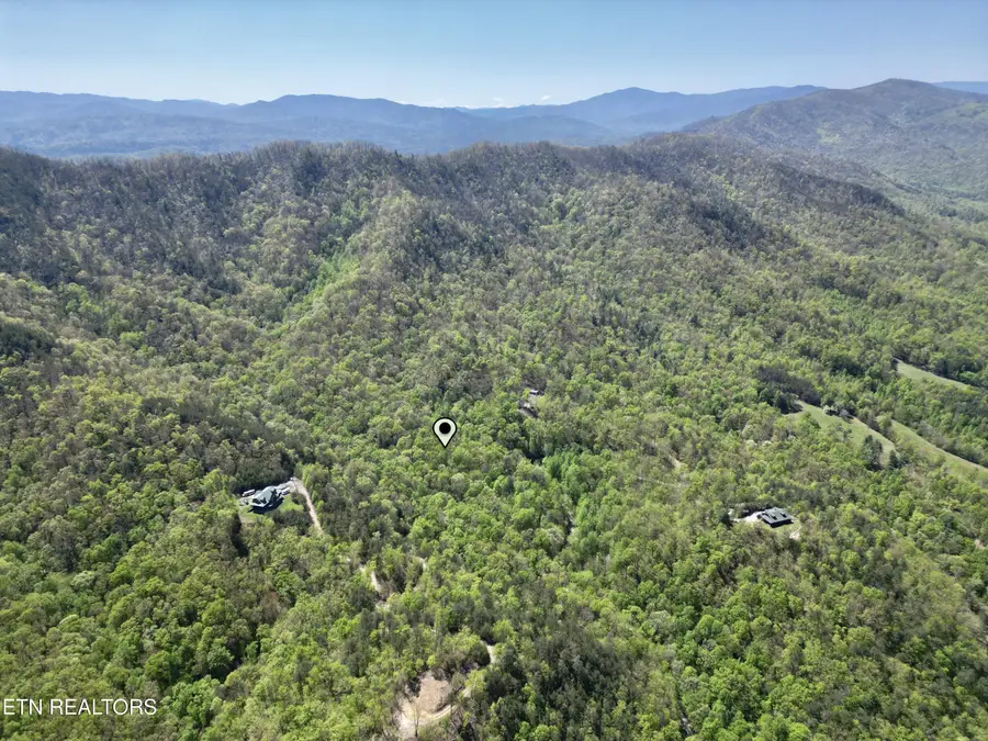 981 Critter Valley Way, Newport, TN 37821 - #3