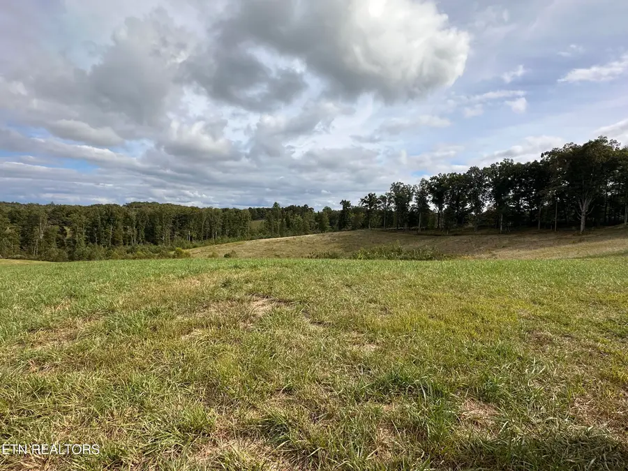 20.14 ac Billy Ridge Rd, Jamestown, TN 38556 - #3