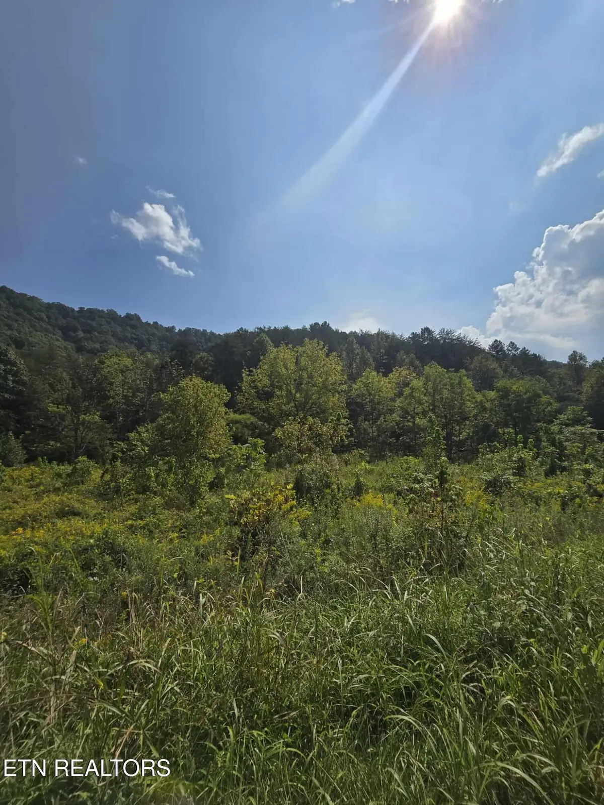 621 Butcher Valley Rd Rd, Rogersville, TN 37857 - #1