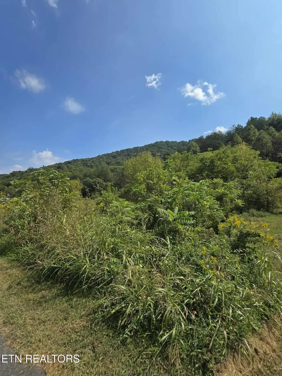 621 Butcher Valley Rd Rd, Rogersville, TN 37857 - #3