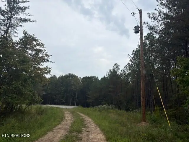 674 Rhodas Way, Sunbright, TN 37872 - #2