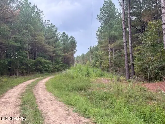 674 Rhodas Way, Sunbright, TN 37872 - #3