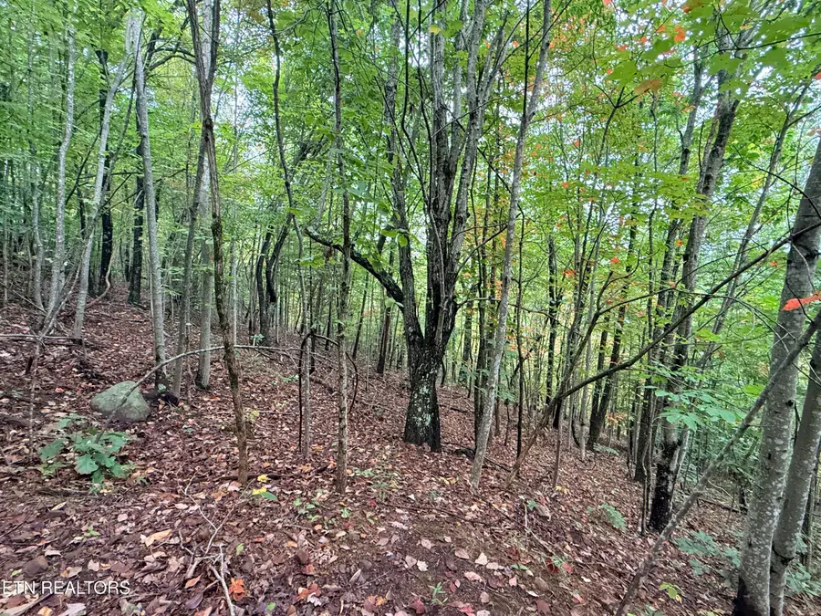 Lot 192 Clinch View Road, New Tazewell, TN 37825 - #2