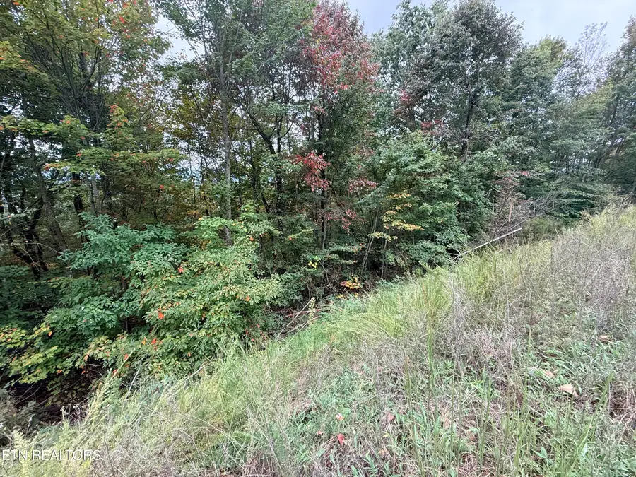Lot 192 Clinch View Road, New Tazewell, TN 37825 - #3