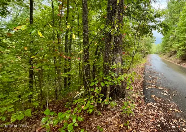 2643/2647 Sawmill Branch Drive, Sevierville, TN 37862