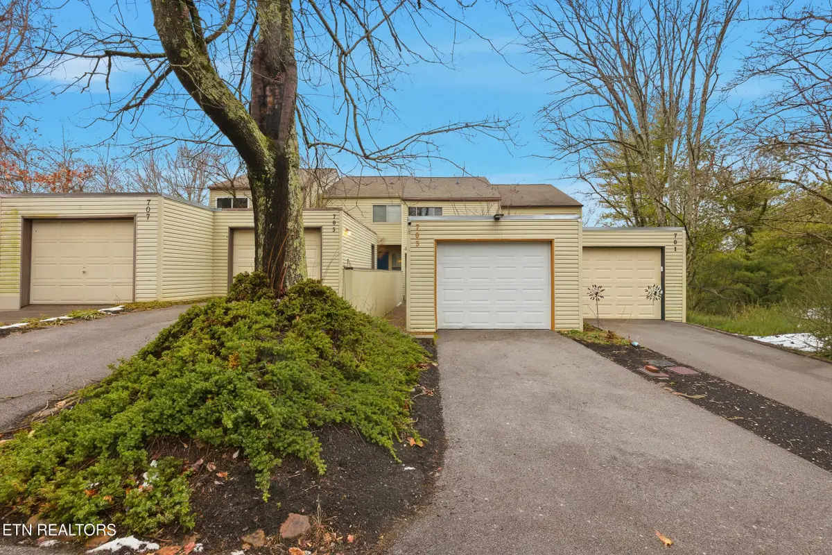 703 Idlewood Lane, Knoxville, TN 37923 - #1