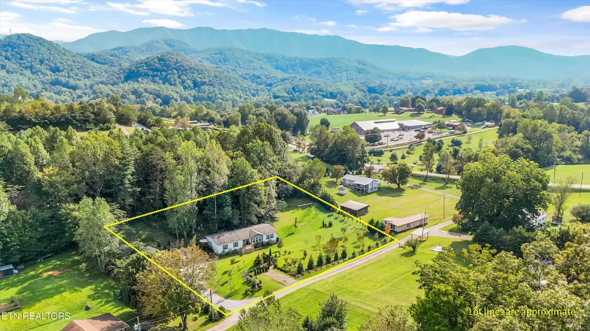 358 Webb Rd, Townsend, TN 37882 - #1