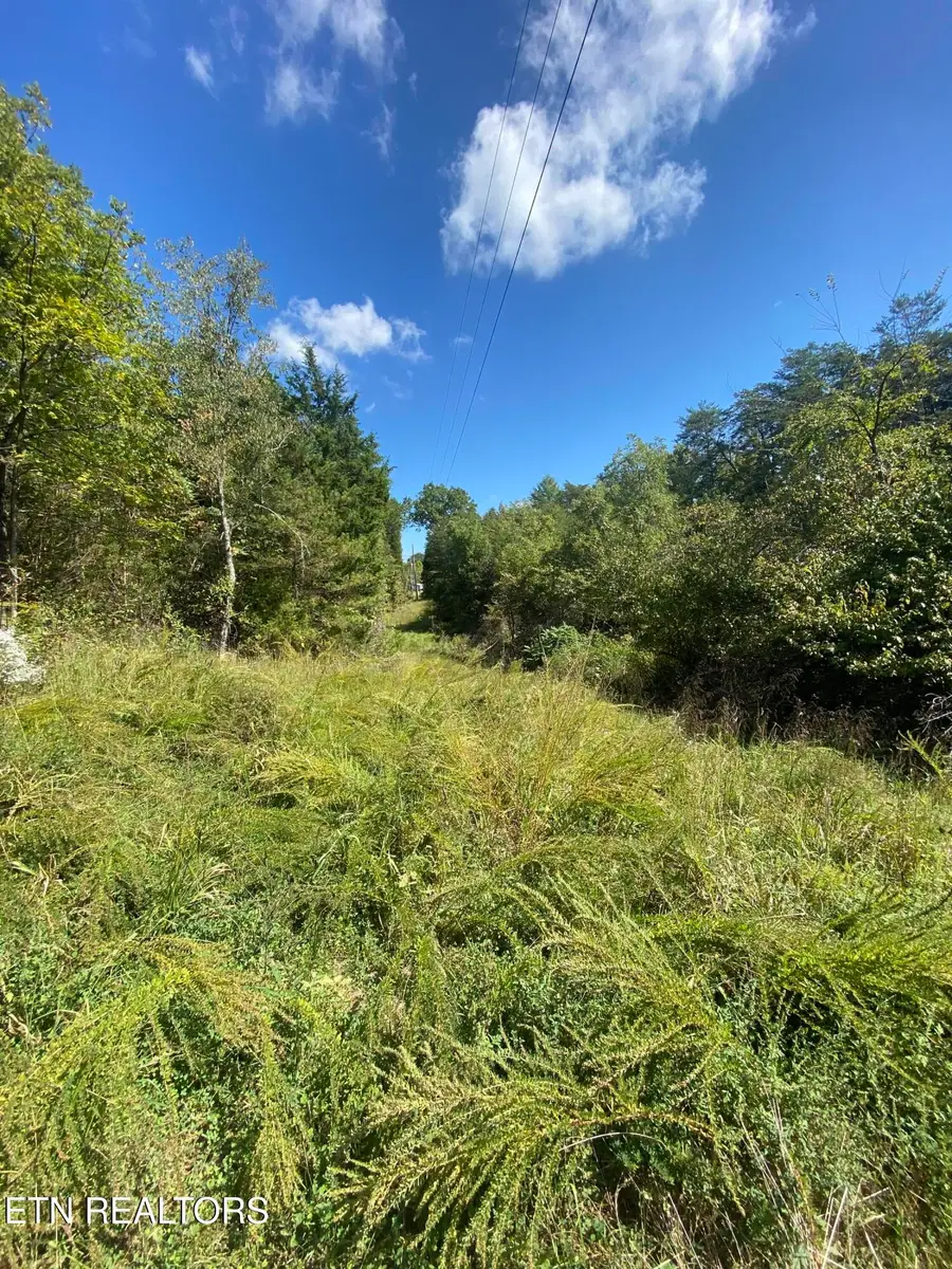 9150 Brownlow Newman Lane, Knoxville, TN 37914 - #3