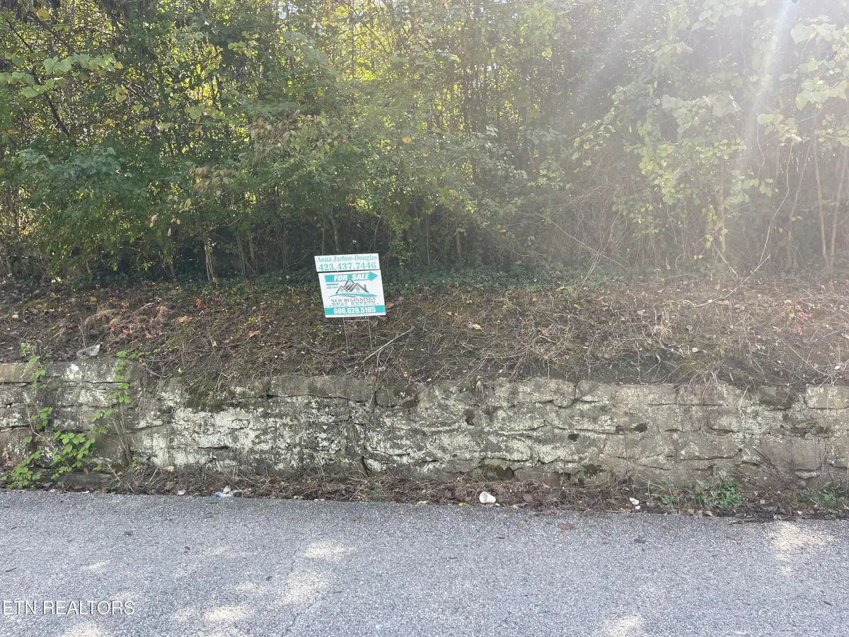 132 Church St, Jellico, TN 37762 - #1