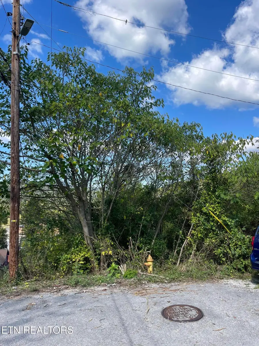 132 Church St, Jellico, TN 37762 - #3