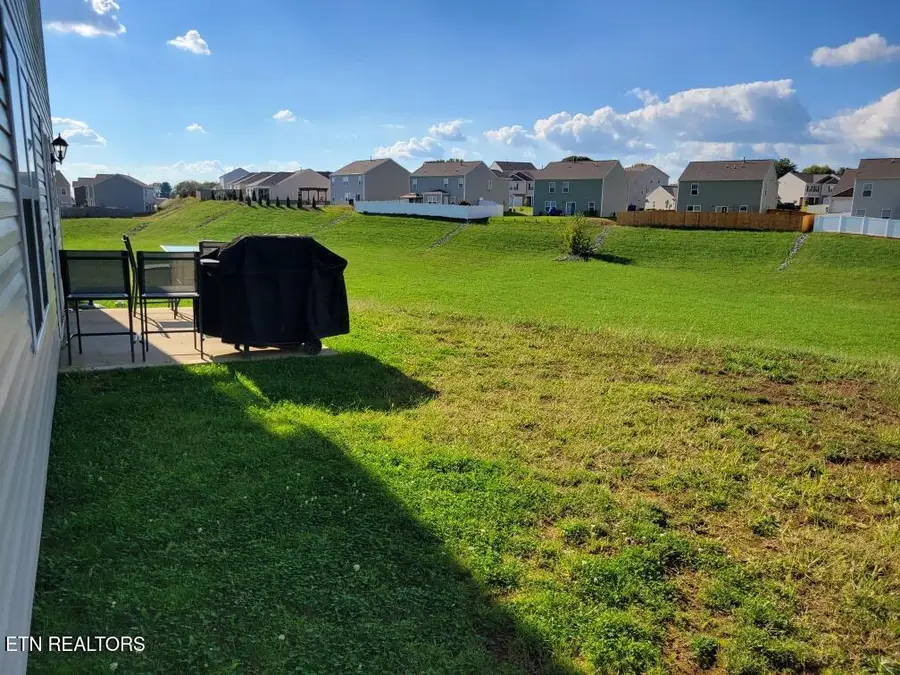 1116 Janice Lane, Talbott, TN 37877 - #2