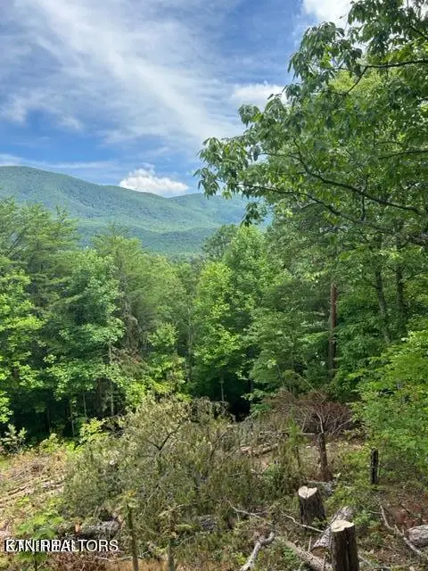 000 Smithfiled Rd, Tellico Plains, TN 37385 - #2