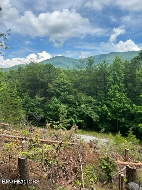 000 Smithfiled Rd, Tellico Plains, TN 37385 - #3