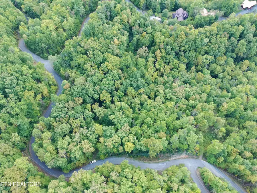 714 Pinnacle Vista Rd, Gatlinburg, TN 37738 - #2