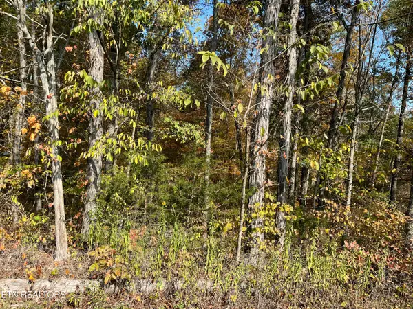 269 Elohi Way, Loudon, TN 37774