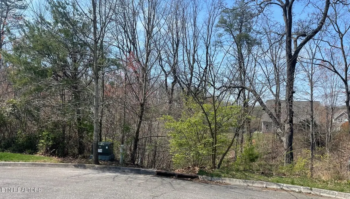 7716 Tulip Poplar Lane, Knoxville, TN 37931 - #1