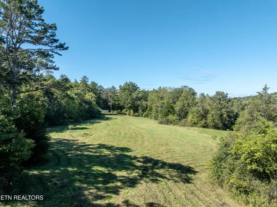 1977 Blue Tick Lane, Lenoir City, TN 37771 - #2