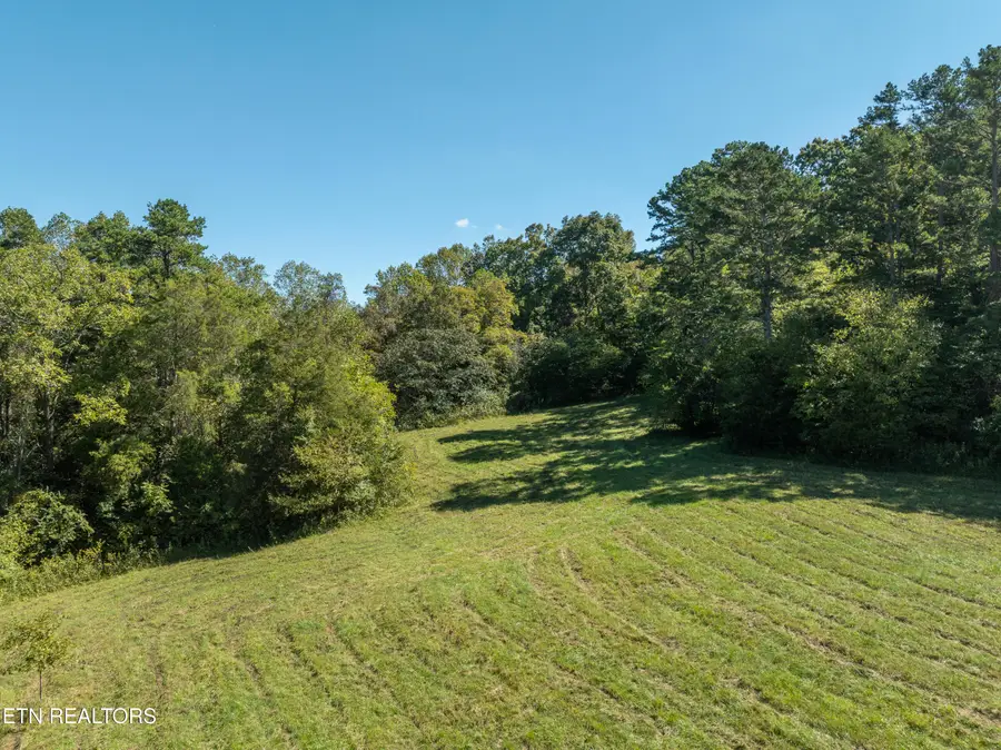 1977 Blue Tick Lane, Lenoir City, TN 37771 - #3