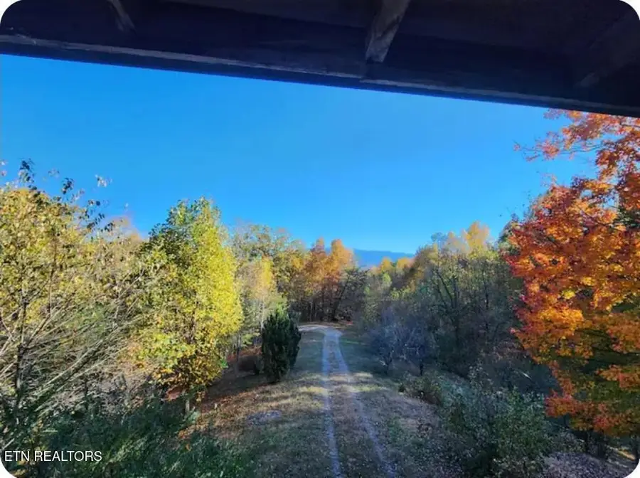 1196 Iris Way, Cosby, TN 37722 - #3