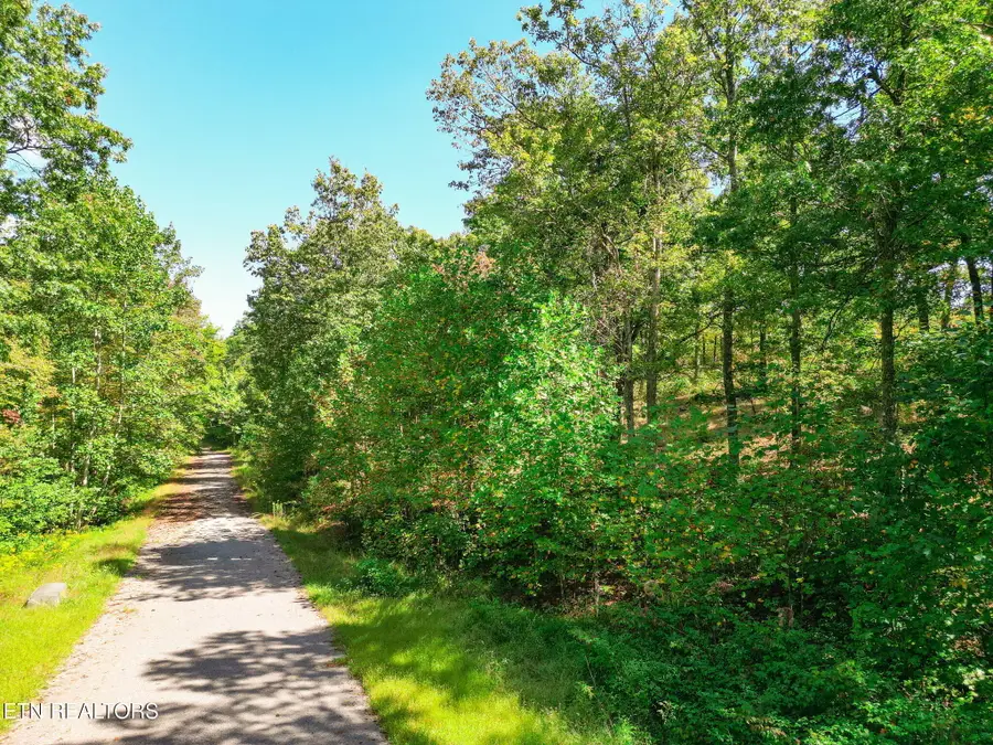 Lot 30 Mt Clouds Tr, Duff, TN 37729 - #2