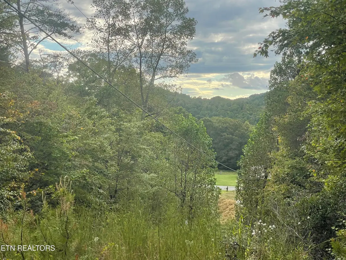 Buffalo Creek Rd, Oneida, TN 37841 - #1