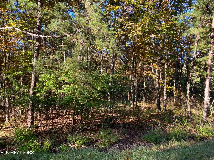 18 Manitou Drive, Crossville, TN 38572 - #2