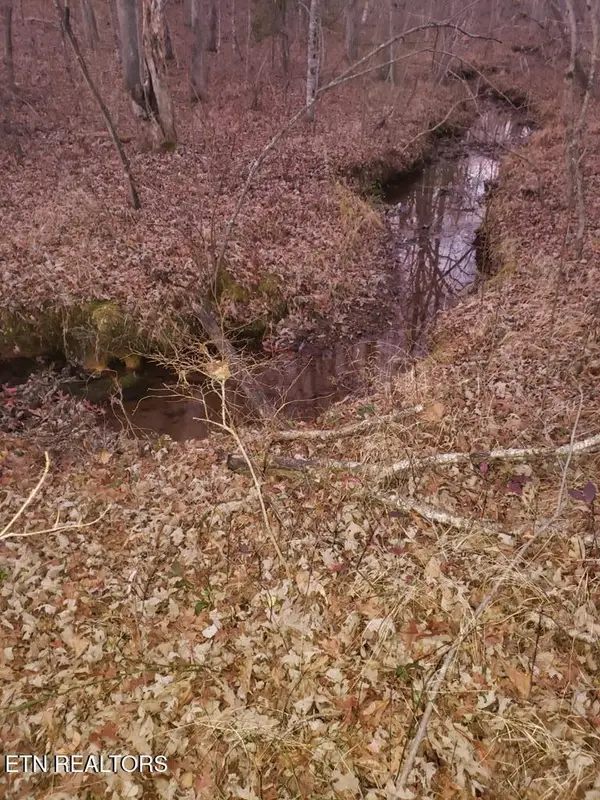 Lot 45 Indian Tr, Monterey, TN 38574