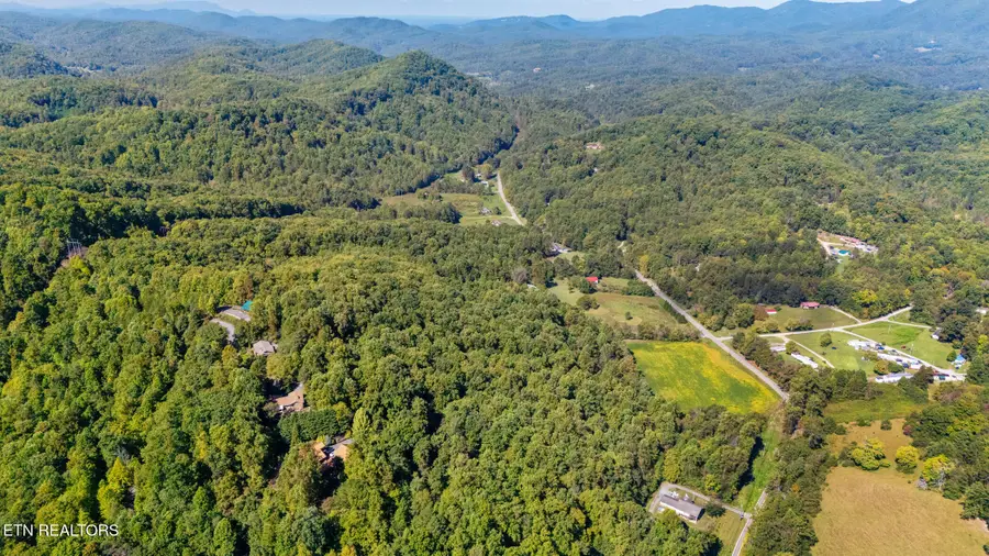 Jones Cove Rd, Cosby, TN 37722 - #2