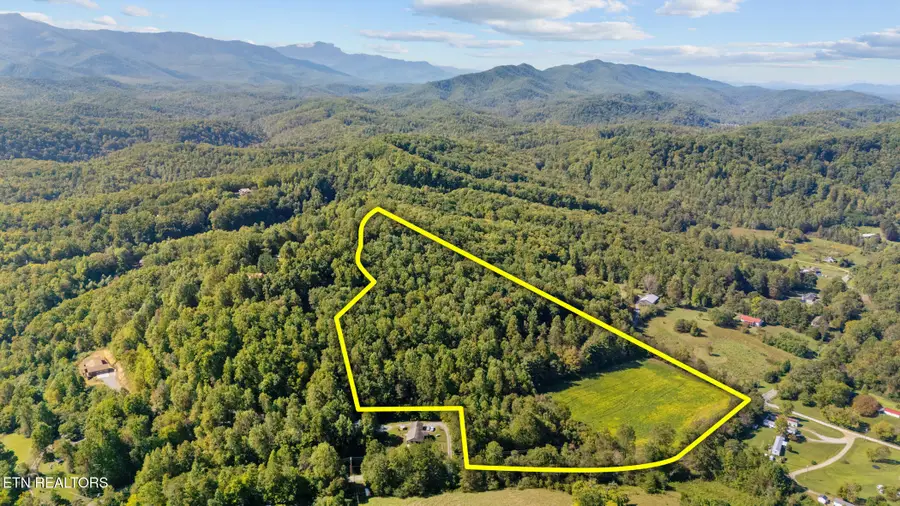 Jones Cove Rd, Cosby, TN 37722 - #3