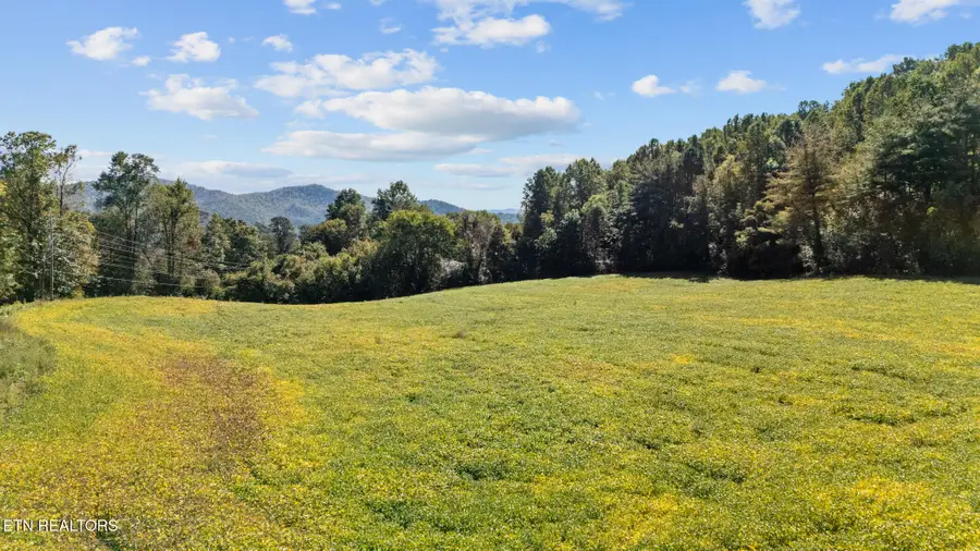 0 Jones Cove Rd, Cosby, TN 37722 - #3