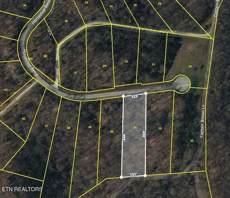 Lot 51 Horseshoe Bnd, Speedwell, TN 37870 - #1
