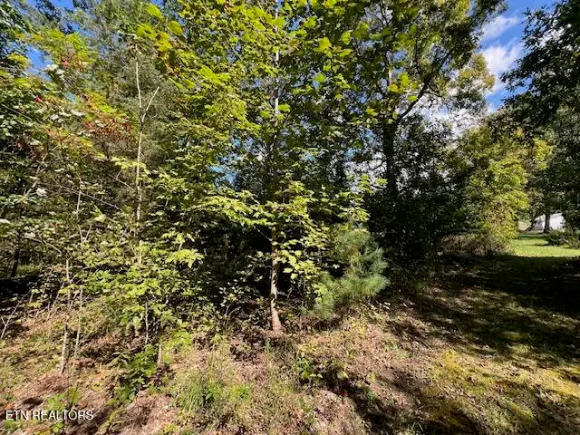 Hwy 70 N, Monterey, TN 38574 - #3