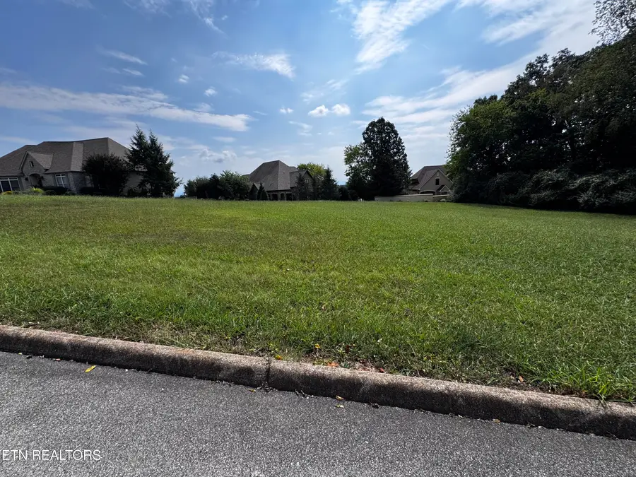 120 Gold Finch Lane, Vonore, TN 37885 - #3