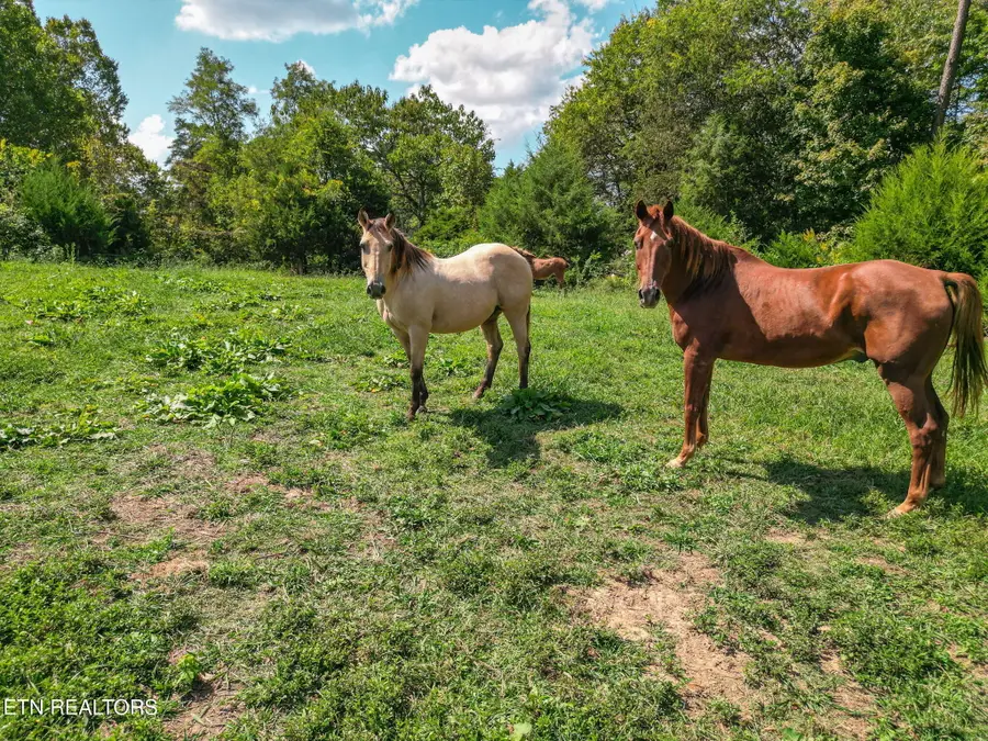 2733 Shipe Rd, Mascot, TN 37806 - #3