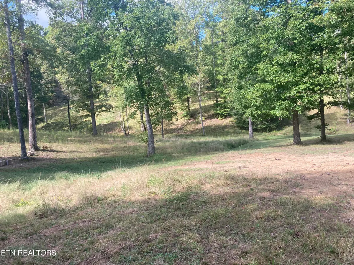 Hardin Private Dr Lots 14, 15, Robbins, TN 37852 - #1