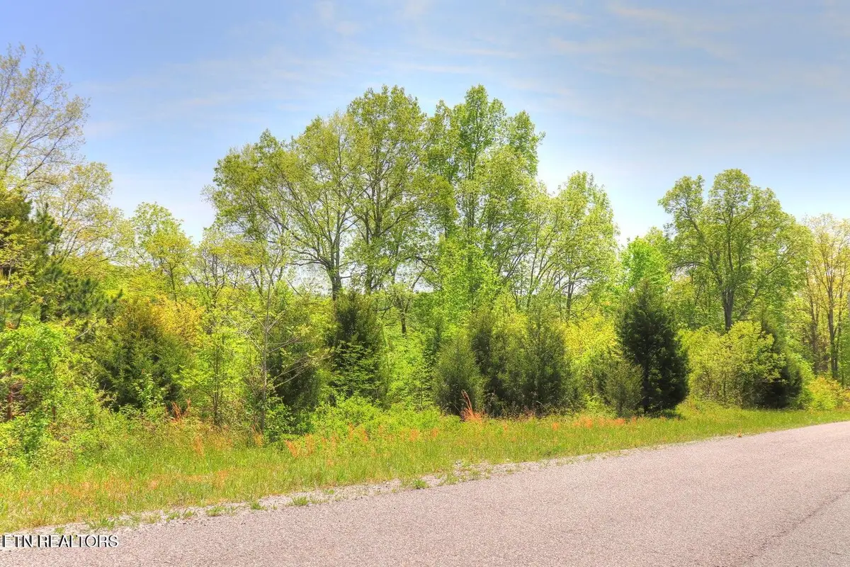 Lot 172 Saddleridge Drive, Speedwell, TN 37870 - #1