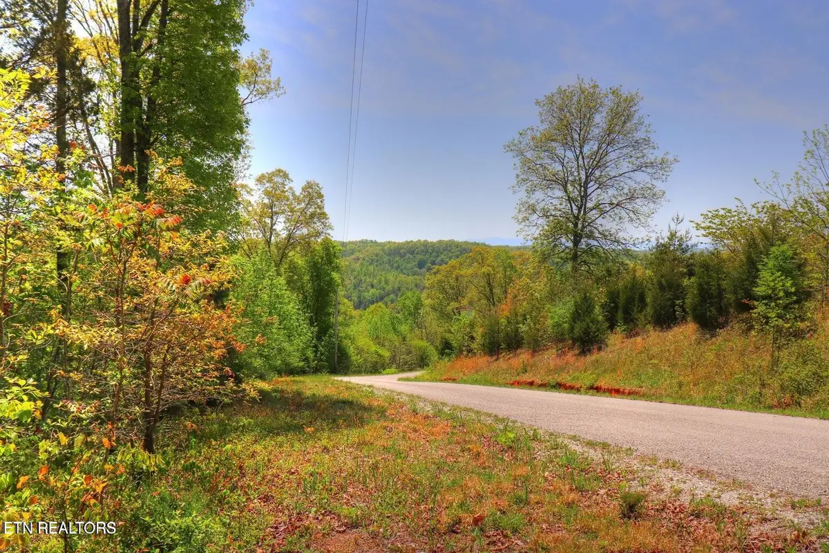 Lot172&173 Saddleridge Drive, Speedwell, TN 37870 - #1