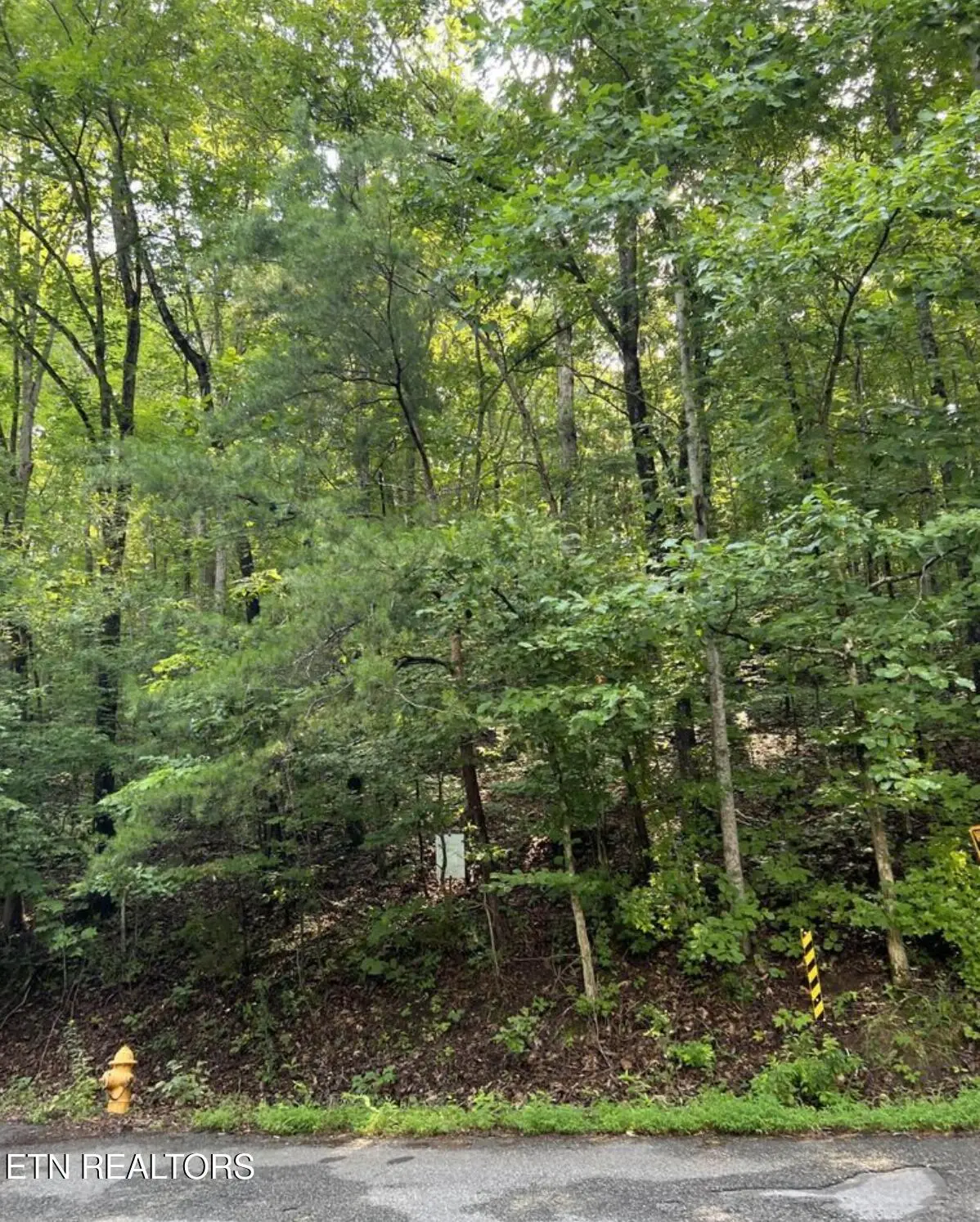 Lot 167 Laurel Lake Circle, Madisonville, TN 37354 - #1