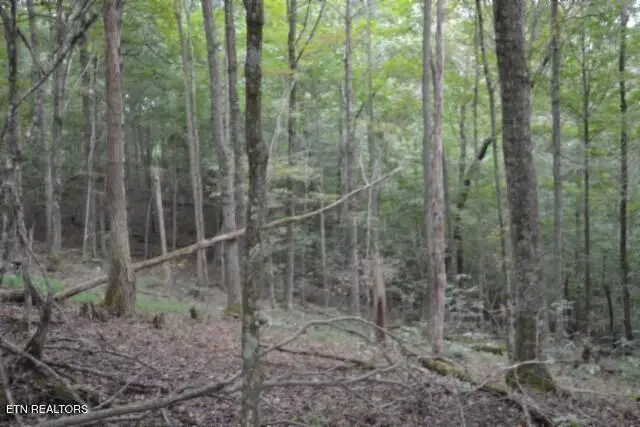 5.78ac West Lane, Gainesboro, TN 38562 - #1