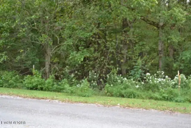 5.78ac West Lane, Gainesboro, TN 38562 - #3