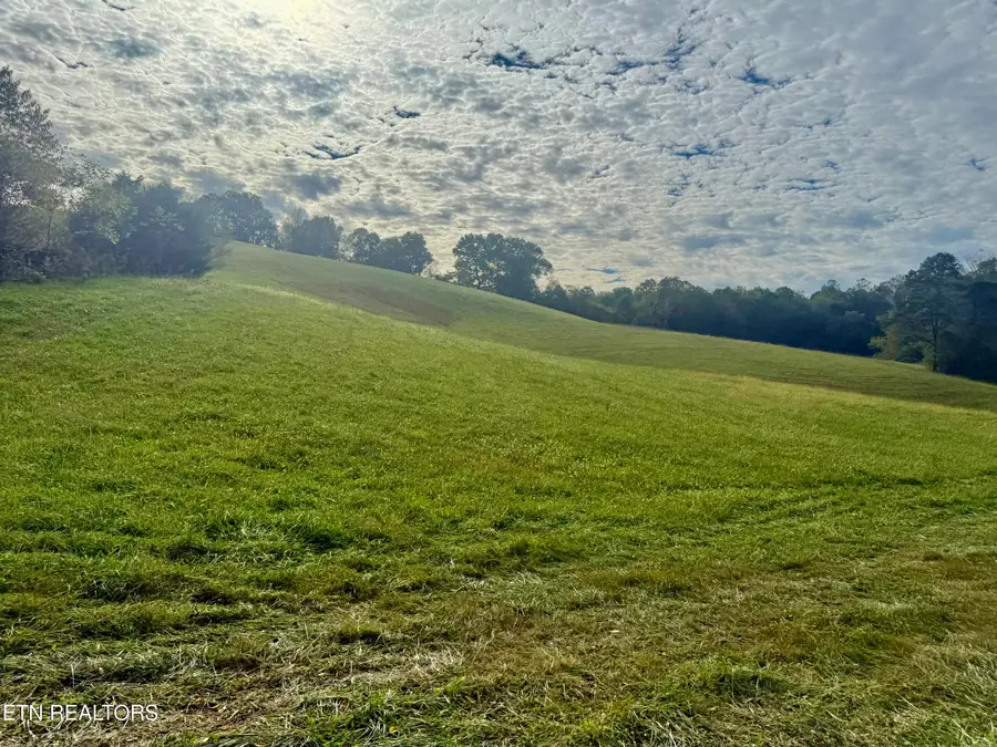 Harmon Rd, New Tazewell, TN 37825 - #2