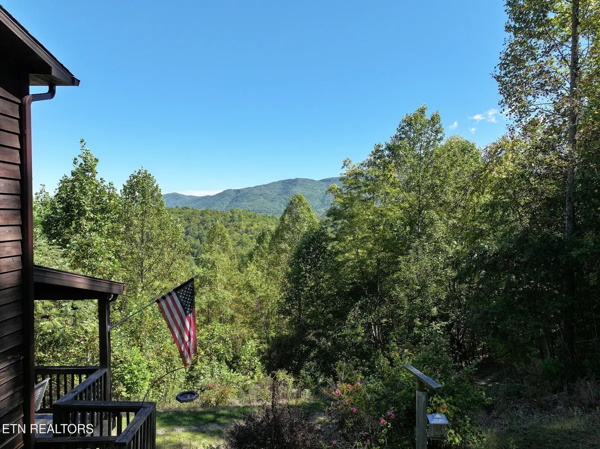 199 Pear Tree Way, Del Rio, TN 37727 - #1