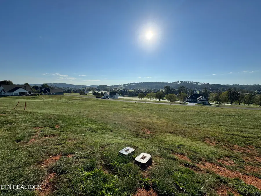 417 Ladybug Lane, Loudon, TN 37774 - #3