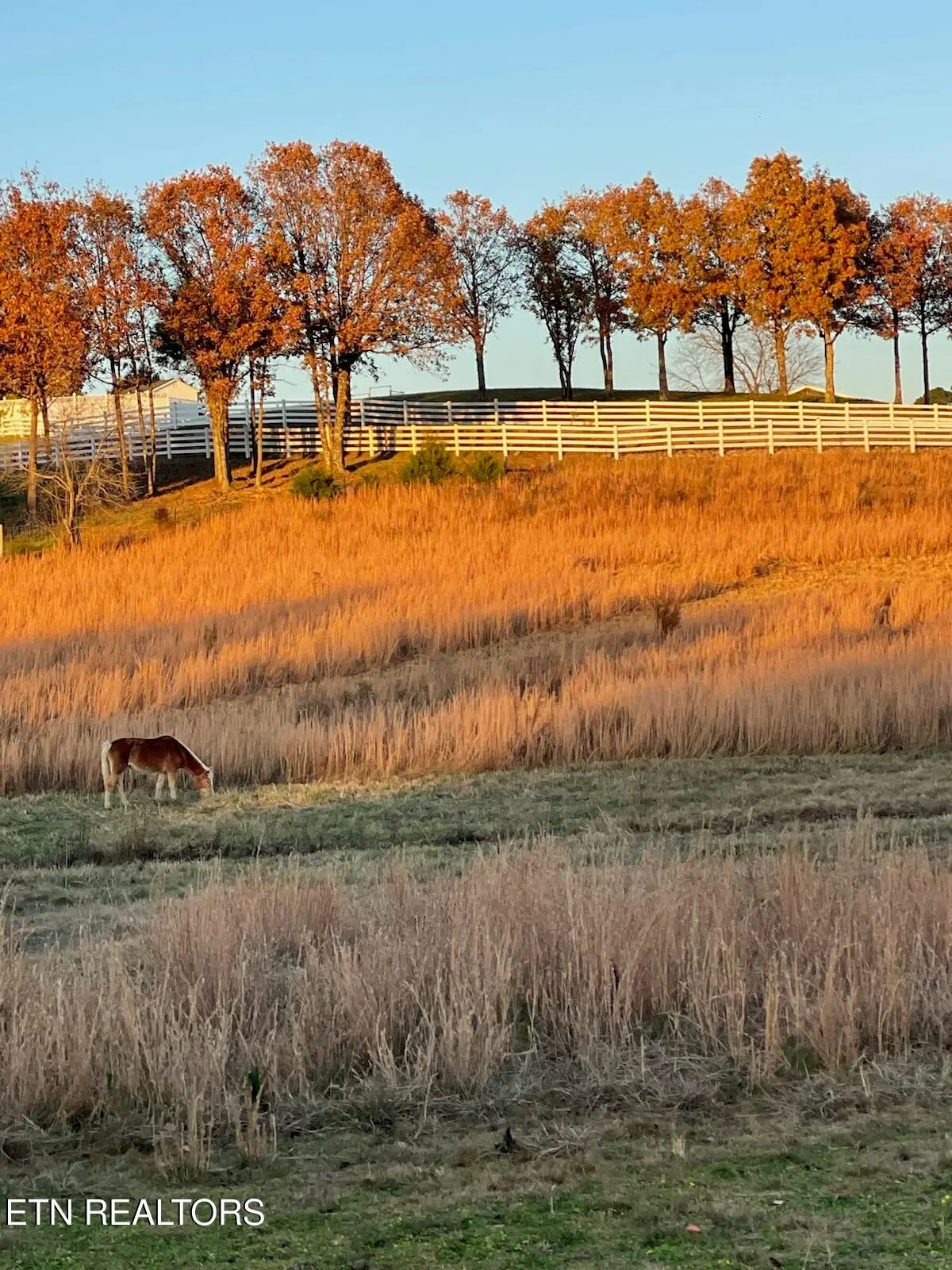 520 Lowe Rd, Crossville, TN 38572 - #1