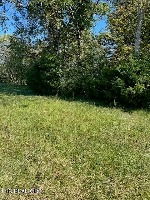 Nunnehi Tr, Vonore, TN 37885 - #3