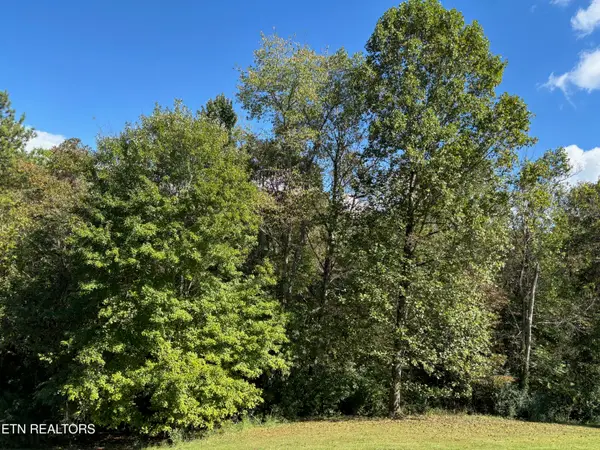 595 Ricky Drive, Talbott, TN 37877