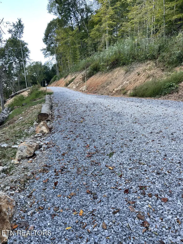 310 Jessee Rd, Maynardville, TN 37807 - #2