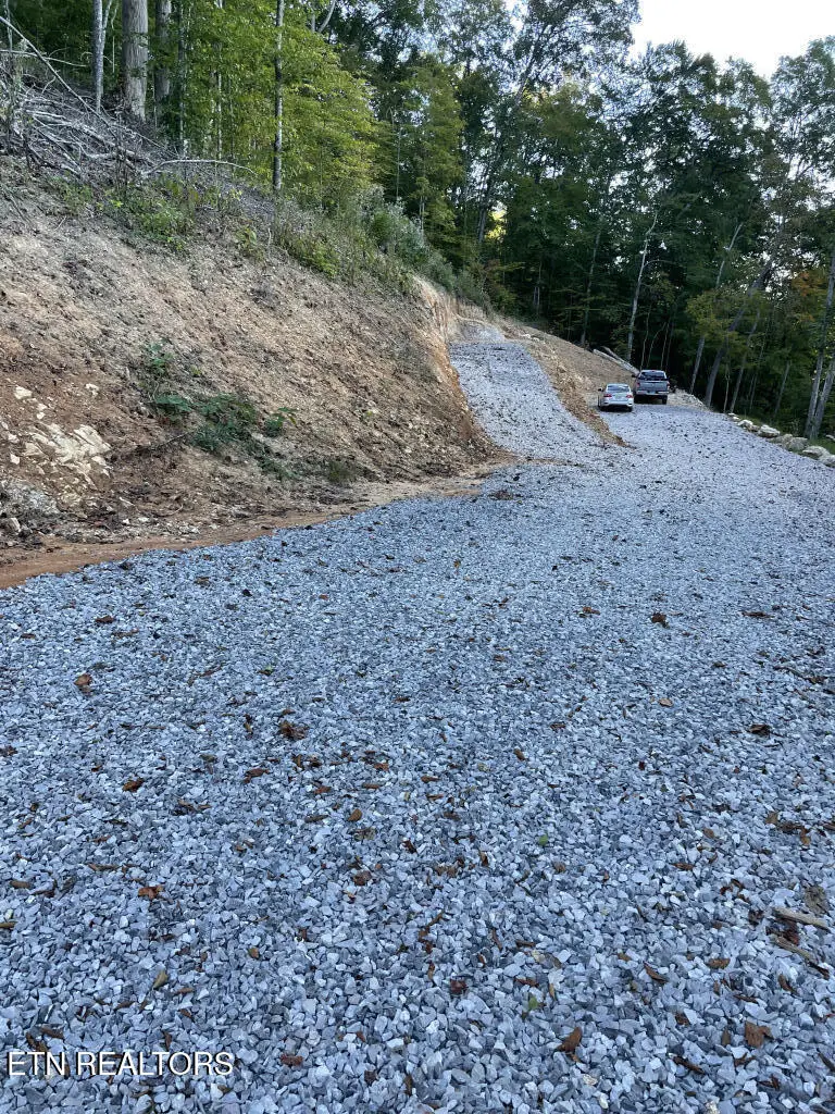 310 Jessee Rd, Maynardville, TN 37807 - #3