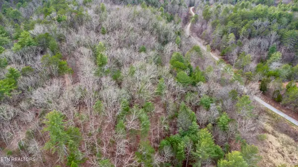 379 Maple Springs Rd, Reliance, TN 37369